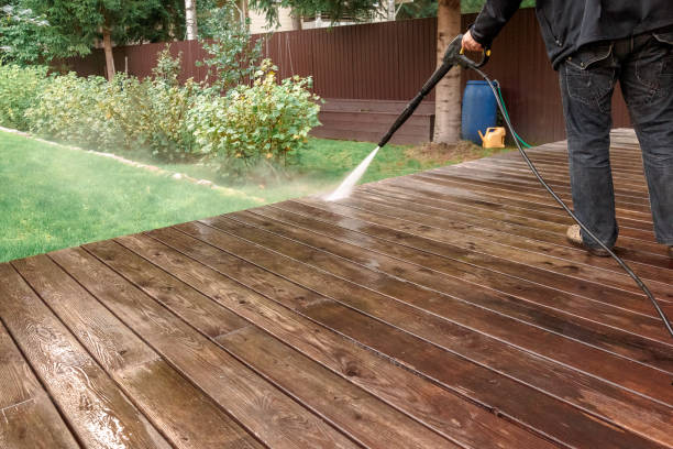 Best Driveway Pressure Washing  in Decatur, MI