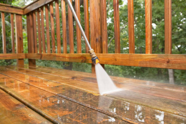 Best Dumpster Area Cleaning  in Decatur, MI